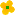 flower01_yellow.gif